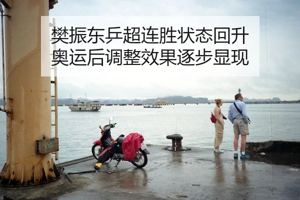 樊振东乒超连胜状态回升 奥运后调整效果逐步显现 - AYXSPORTS