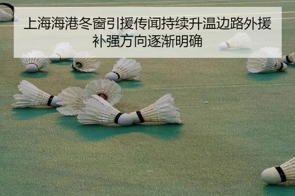 上海海港冬窗引援传闻持续升温边路外援补强方向逐渐明确 - AYXSPORTS
